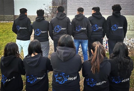 Team Hoodies